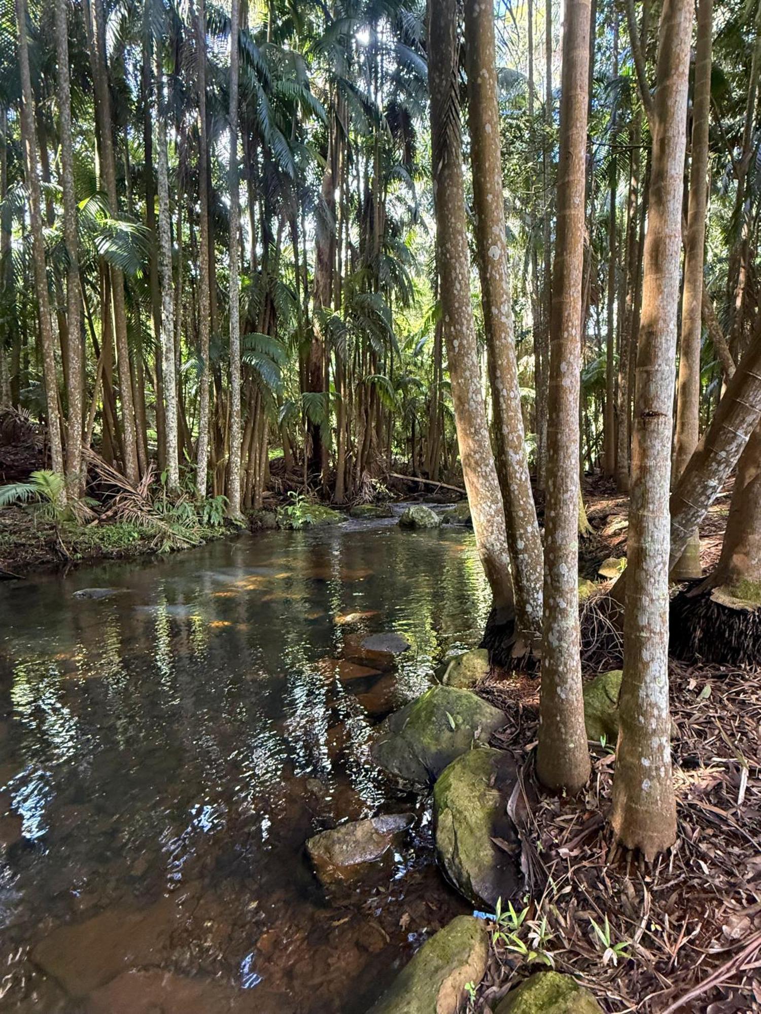 Mt Tamborine Stonehaven Manor Hotell Gold Coast Eksteriør bilde