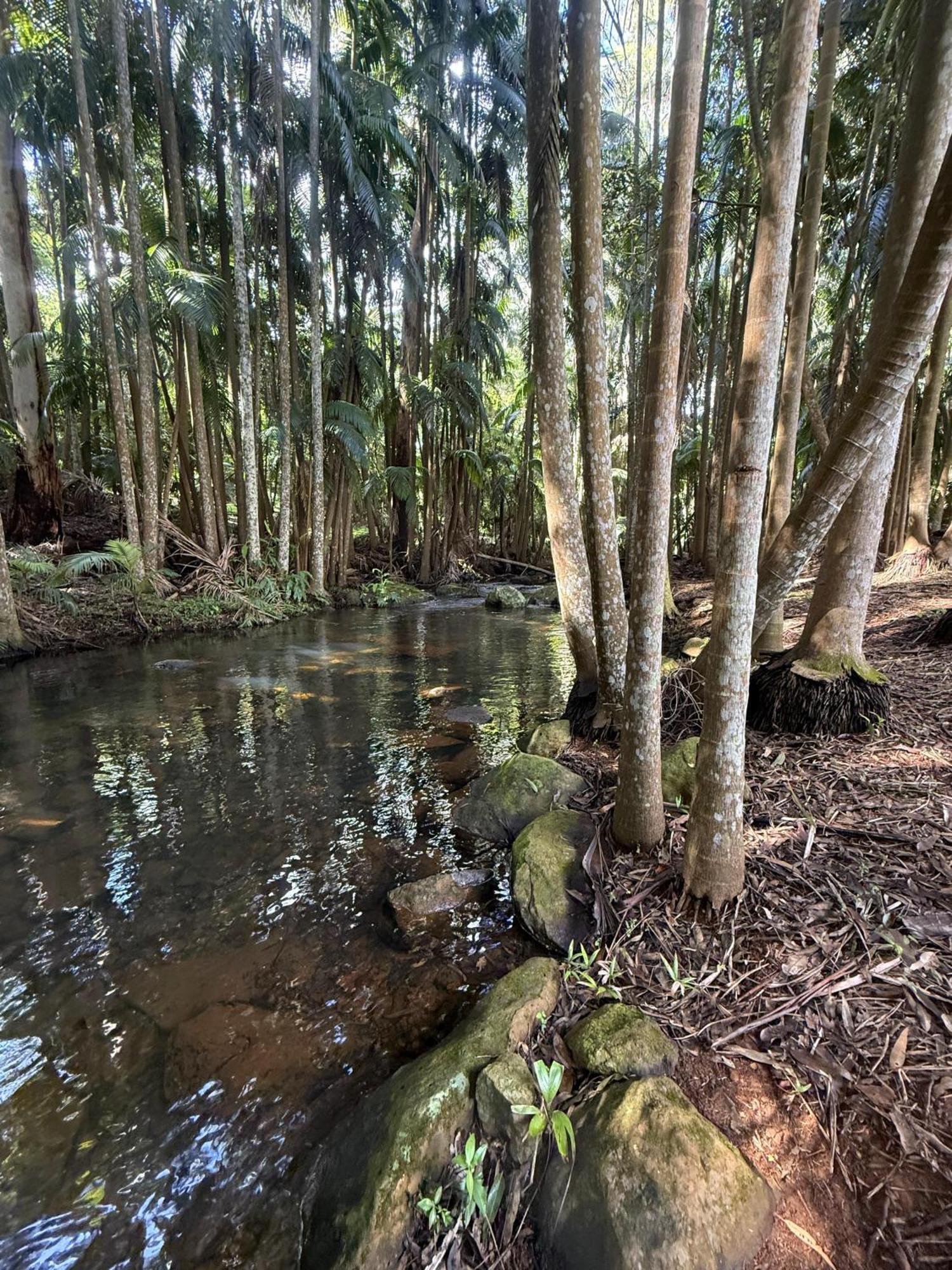 Mt Tamborine Stonehaven Manor Hotell Gold Coast Eksteriør bilde