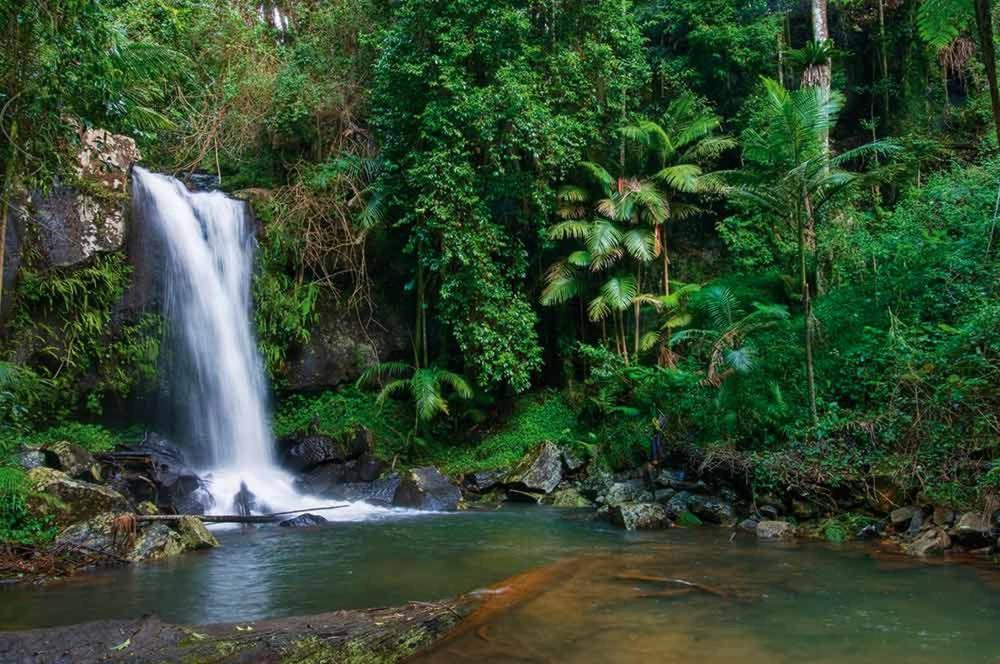 Mt Tamborine Stonehaven Manor Hotell Gold Coast Eksteriør bilde